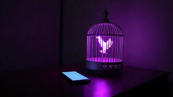 Open vogelkooi waaruit paars licht ontsnapt, naast een smartphone (illustratie bij het artikel)